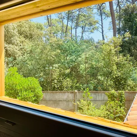 Geay Location En Bordure De Foret Et 900 M De La * סן-טרויאן-לה-באן
