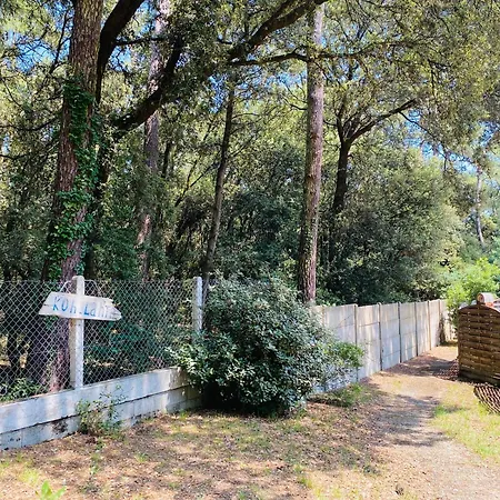 Geay Location En Bordure De Foret Et 900 M De La בית נופש סן-טרויאן-לה-באן